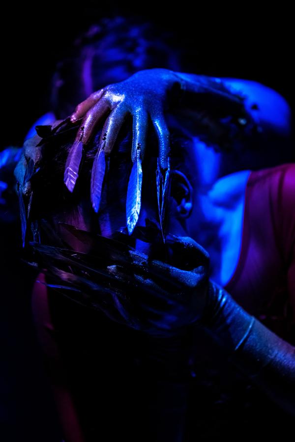 Four hands wearing shiny gloves with feathers on the fingertips enclose the face of a dancer