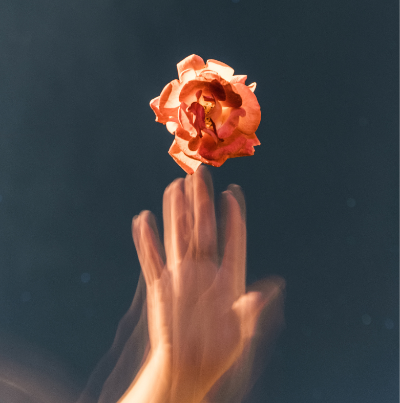 A blurry hand reaching towards a flower