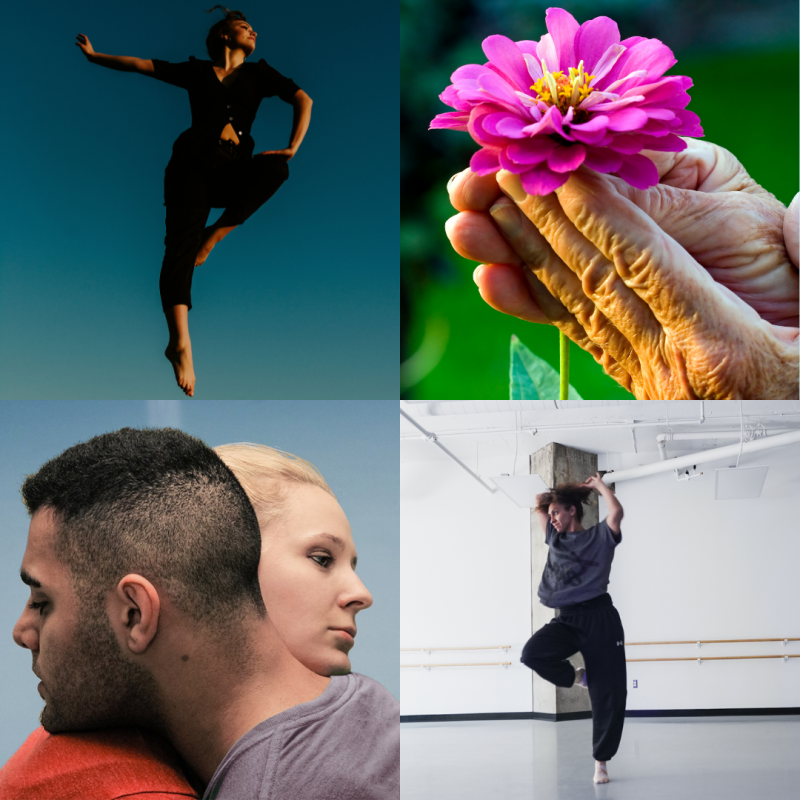 A collage of 3 images of dancers and one of a flower.