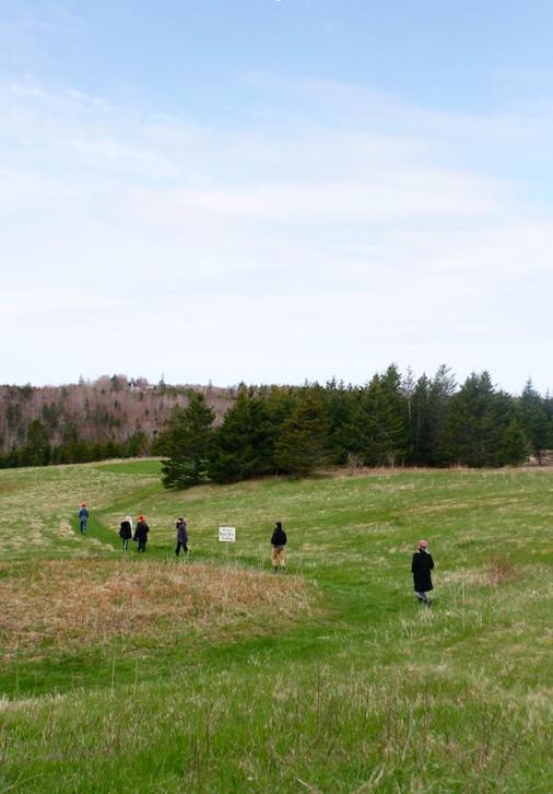 A crowd walking in a field at Ross Creek Centre for the Arts