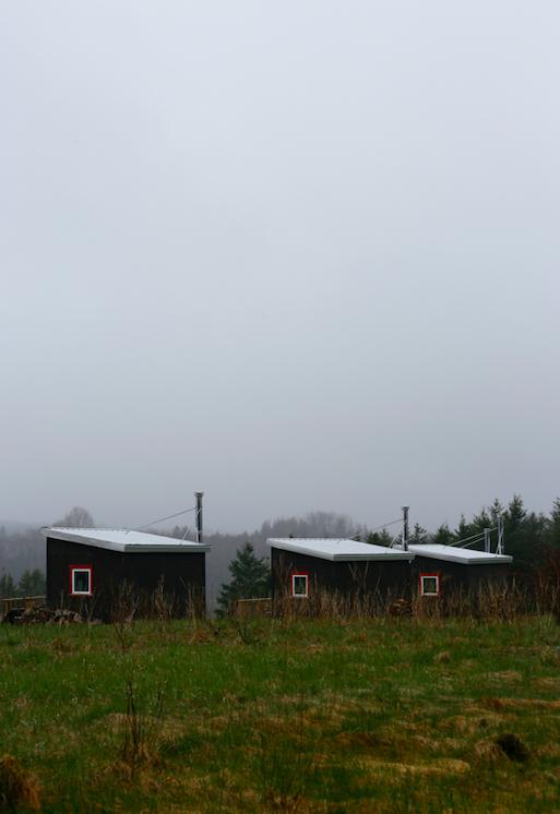 Cabins in the Fog at Ross Creek Centre for the Arts