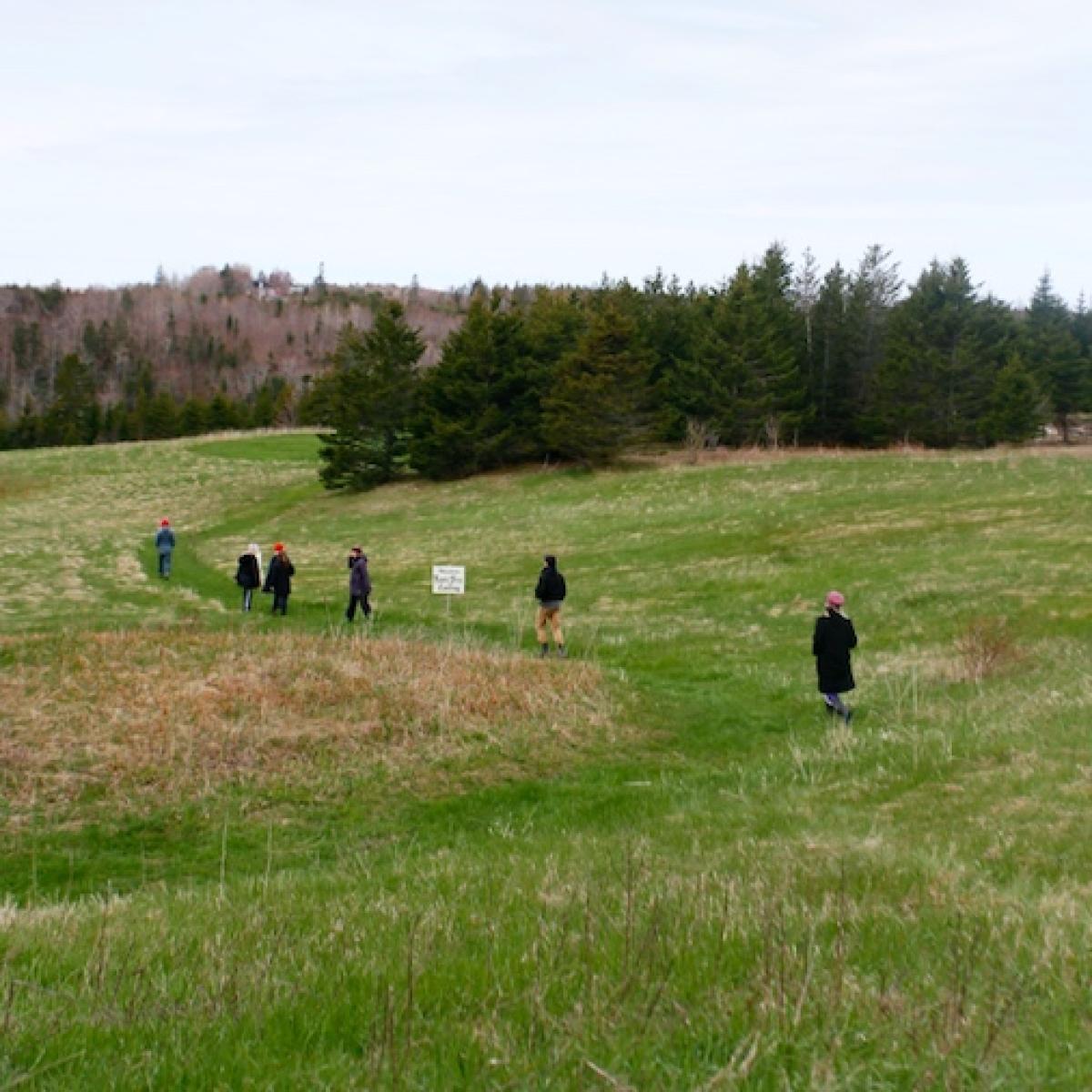 A crowd walking in a field at Ross Creek Centre for the Arts